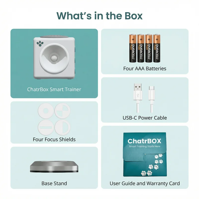 In The Box
